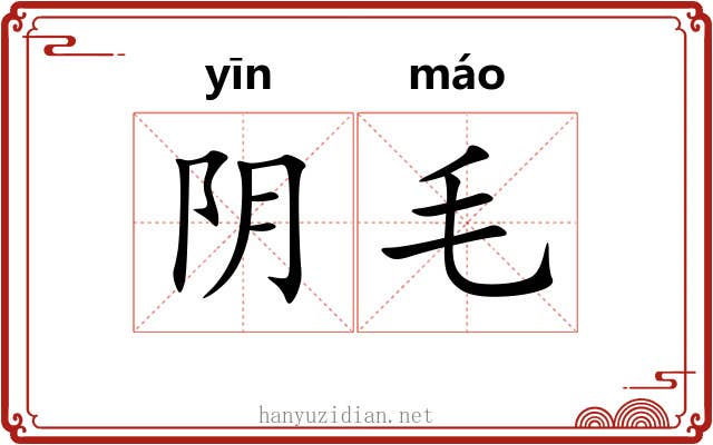 阴毛 阴毛