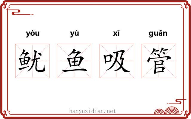 鱿鱼吸管 鱿鱼吸管