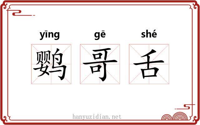 鹦哥舌