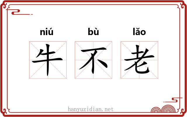 牛不老