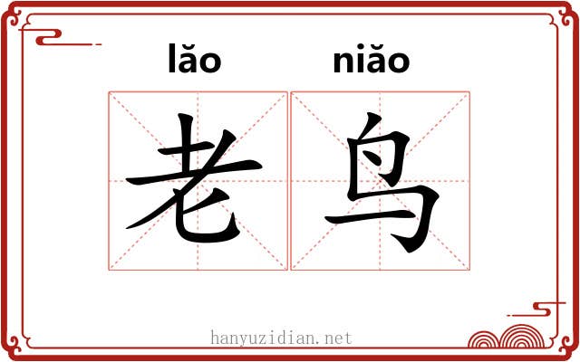 老鸟 老鸟