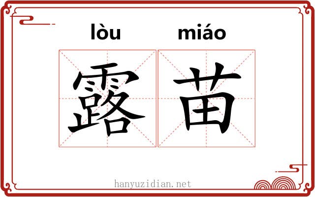 露苗