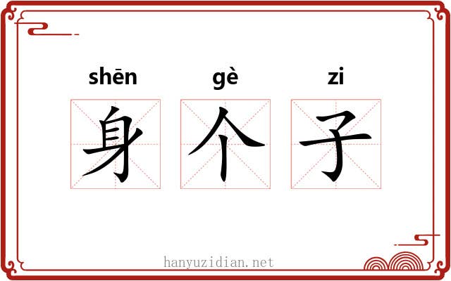身个子 身个子