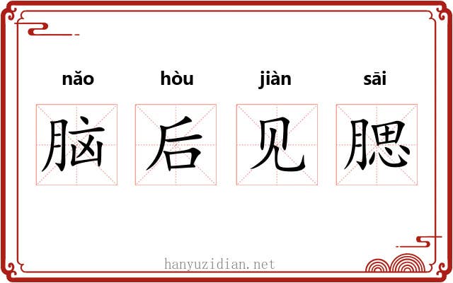脑后见腮 脑后见腮