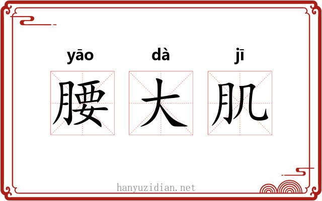 腰大肌 腰大肌