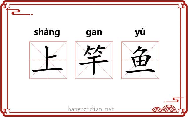 上竿鱼
