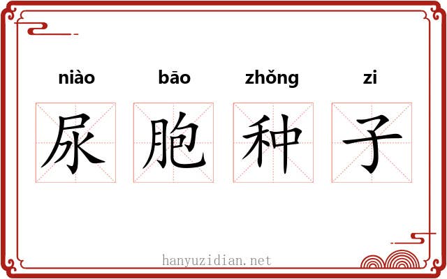 尿胞种子 尿胞种子
