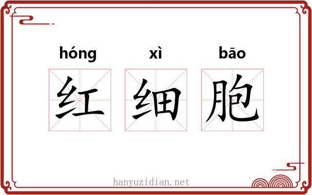 红细胞 红细胞