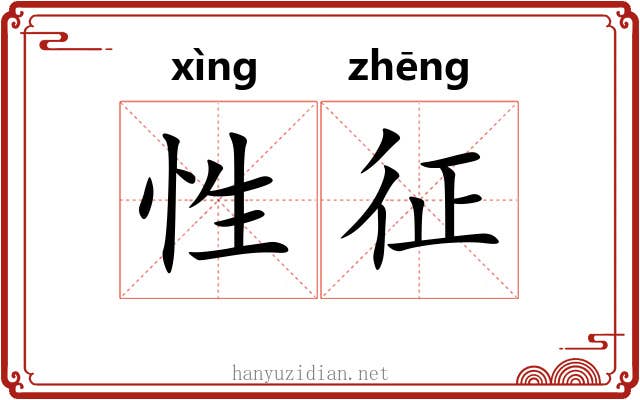 性征 性征