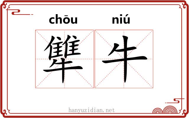 犨牛