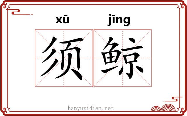 须鲸