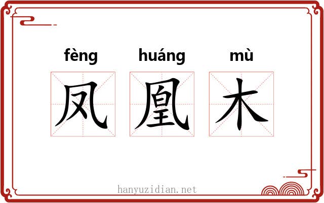 凤凰木 凤凰木