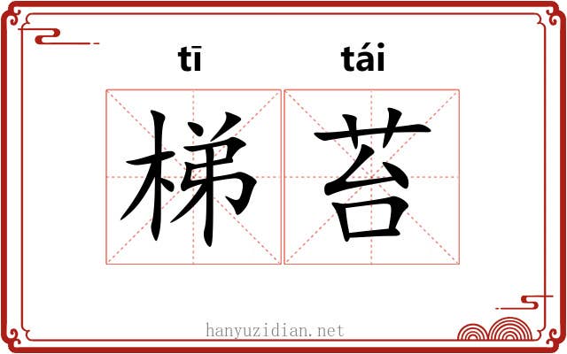 梯苔