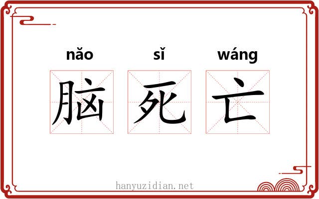 脑死亡 脑死亡