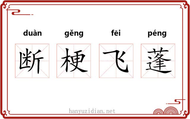 断梗飞蓬 断梗飞蓬