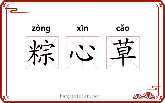 粽心草 粽心草