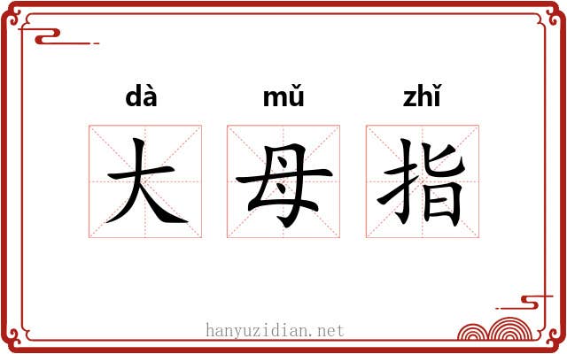 大母指 大母指