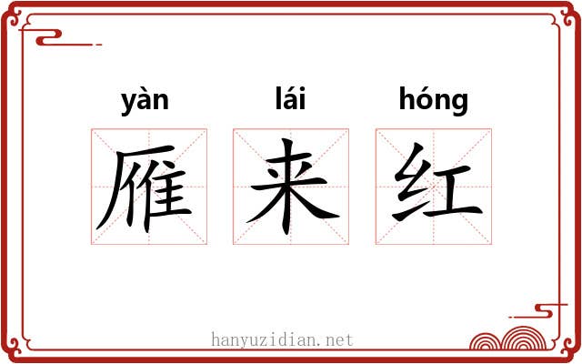 雁来红