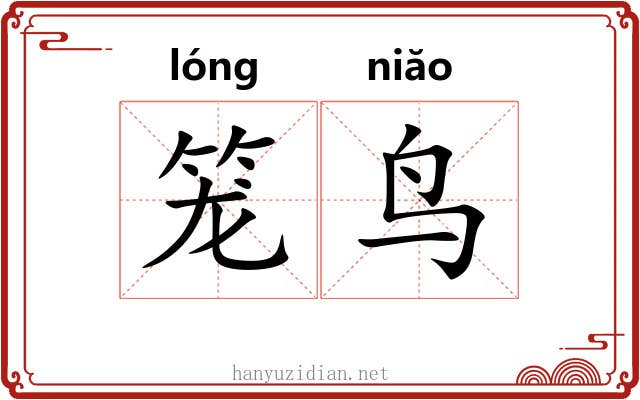 笼鸟