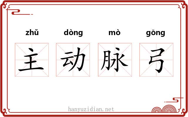 主动脉弓 主动脉弓