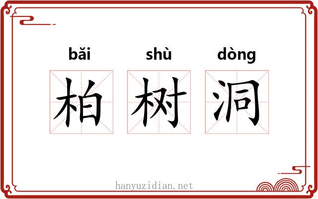 柏树洞 柏树洞