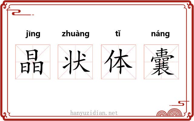 晶状体囊 晶状体囊