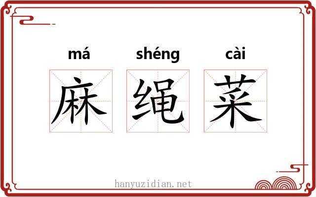 麻绳菜 麻绳菜