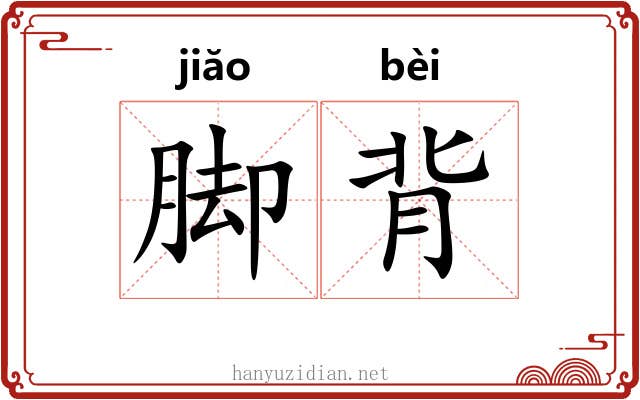 脚背 脚背