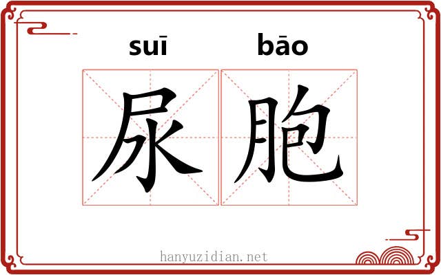 尿胞