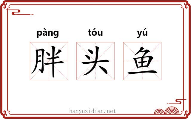 胖头鱼 胖头鱼