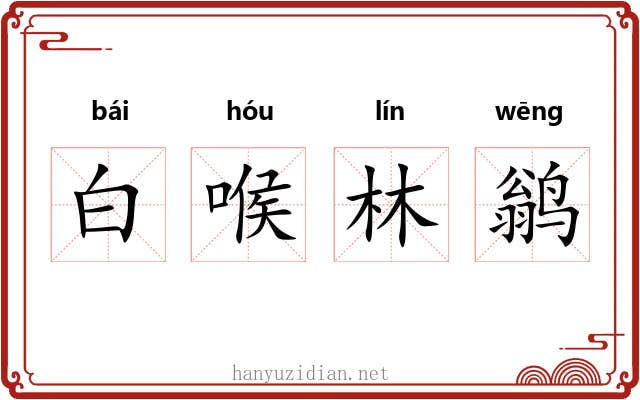白喉林鹟 白喉林鹟