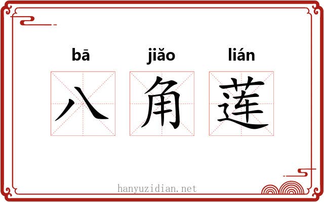 八角莲 八角莲