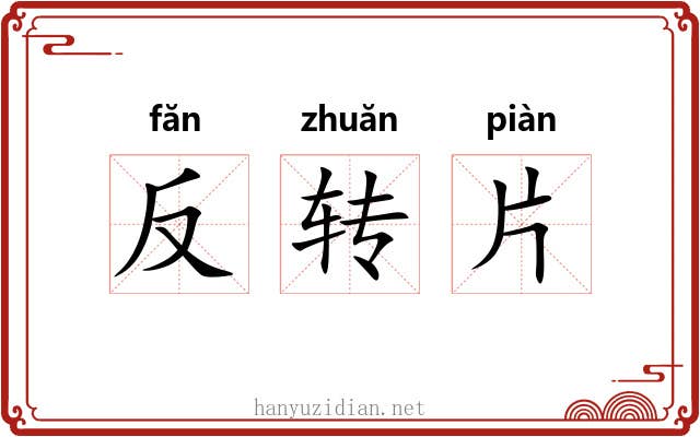 反转片 反转片