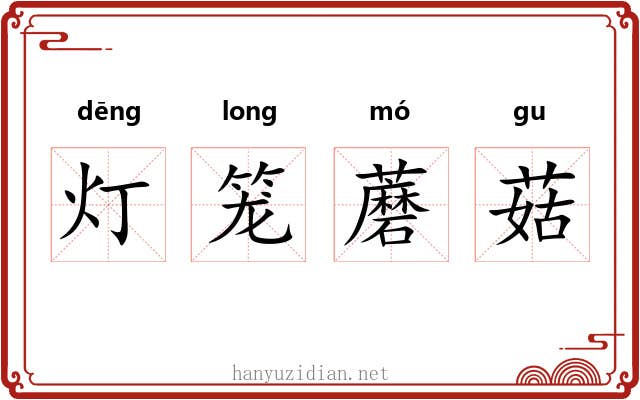 灯笼蘑菇 灯笼蘑菇
