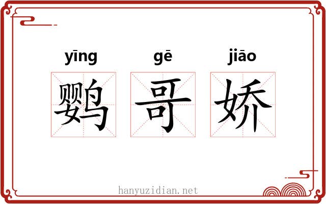 鹦哥娇