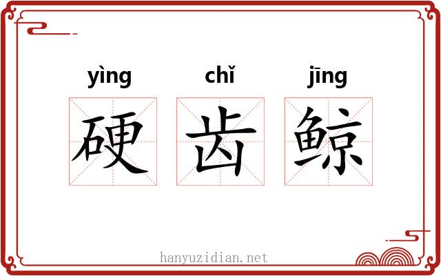 硬齿鲸 硬齿鲸