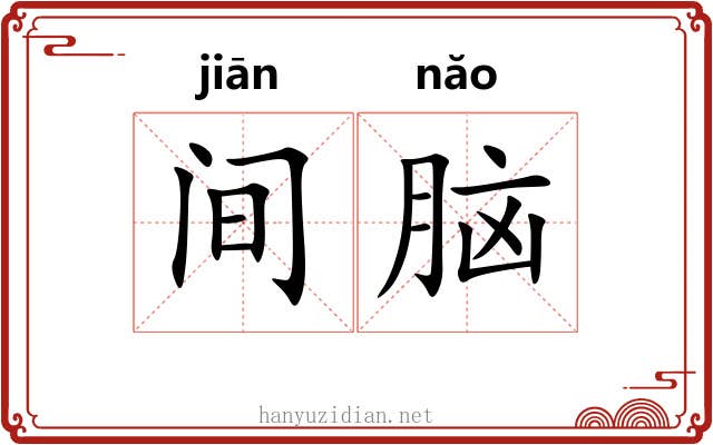 间脑