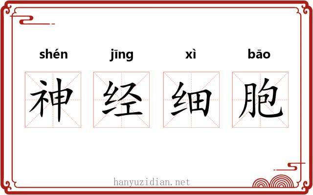 神经细胞