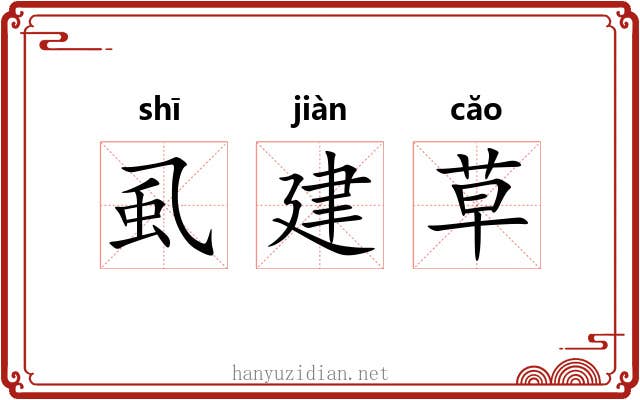 虱建草 虱建草
