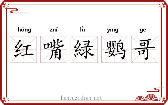 红嘴緑鹦哥 红嘴緑鹦哥