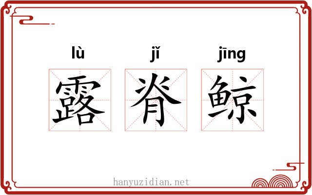 露脊鲸 露脊鲸
