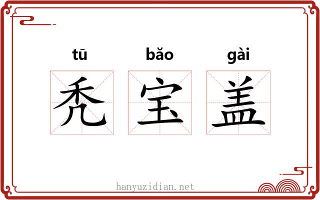 秃宝盖 秃宝盖