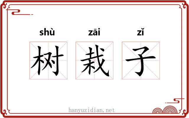 树栽子 树栽子