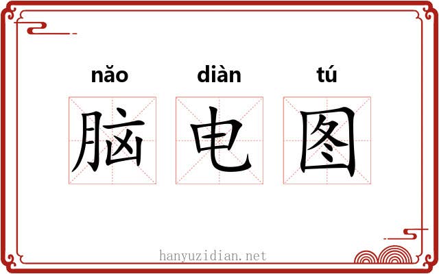 脑电图 脑电图