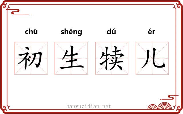 初生犊儿 初生犊儿