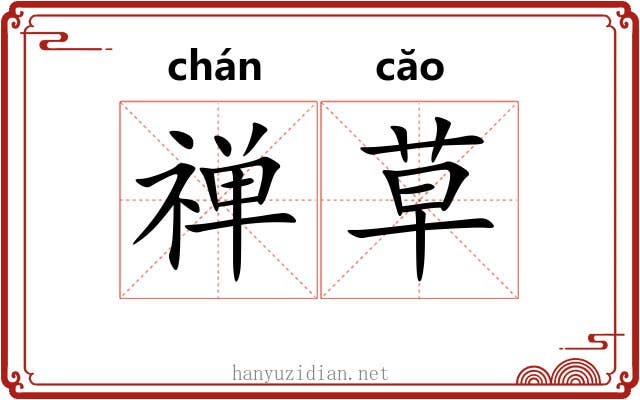 禅草 禅草