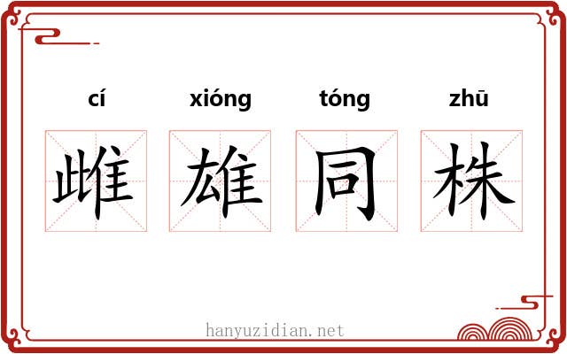 雌雄同株