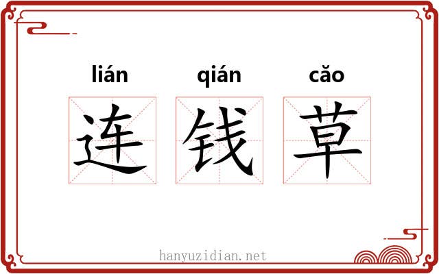 连钱草 连钱草