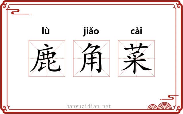 鹿角菜