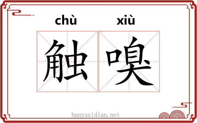 触嗅